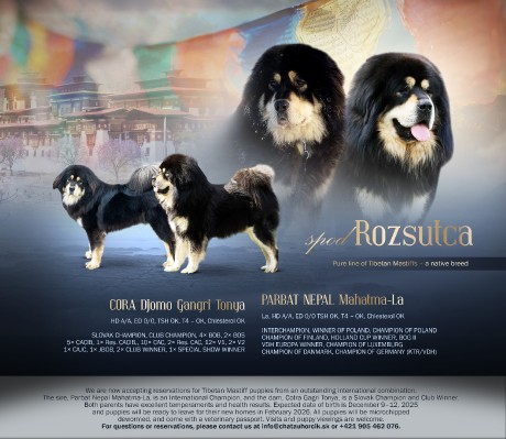 spodrozsutcaengoprava